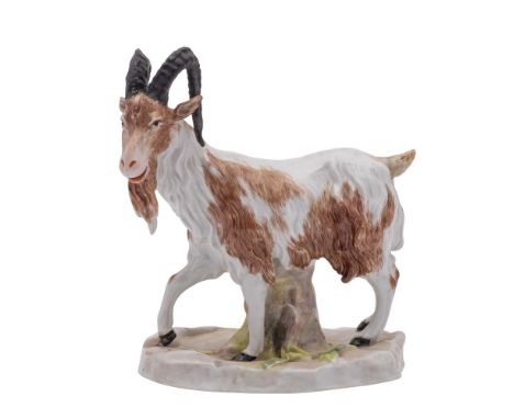A Continental figure of a goat in the Meissen manner naturalisically modelled and on tree stump mound base, underglaze blue c