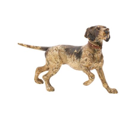 An Austrian cold painted bronze model of a hunting dog, 12.5cm long.