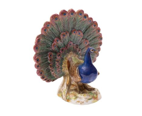 A Meissen figure of a displaying peacock after a model by J.J.Kandler, with tail feathers outspread and on tree stump mound b