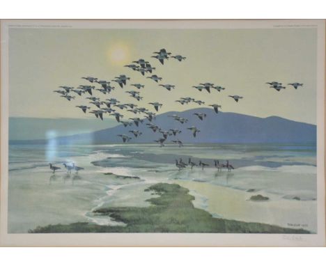Peter Scott,Geese on a shoreline,colour print, signed,38x55cm.