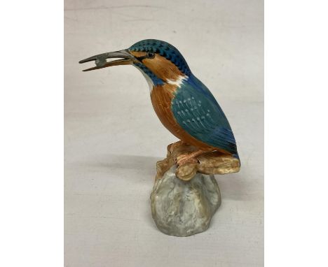A SPODE KINGFISHER ON A BRANCH 
