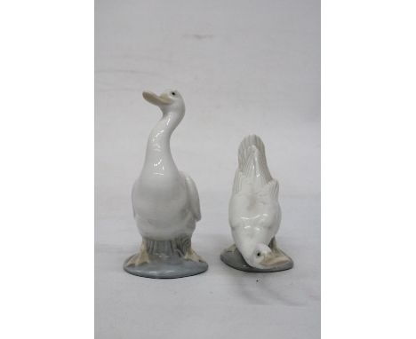 TWO NAO GEESE 