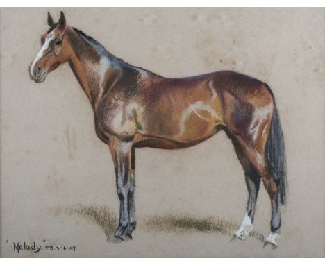 British School - 'Melody' (Portrait of a Racehorse), early/mid-20th century pastel with coloured chalks, titled recto, label 