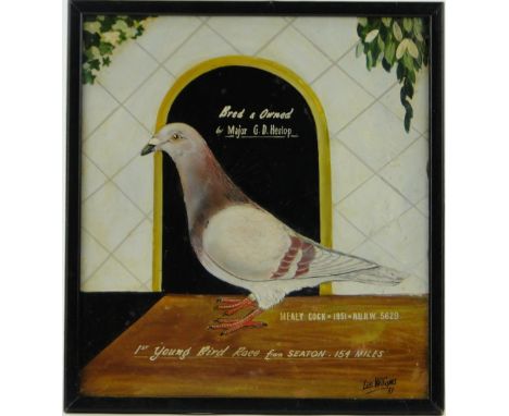 Les Williams,
oil on board, portrait of a racing pigeon, signed, inscribed and dated 1951, 12" x 11", framed.