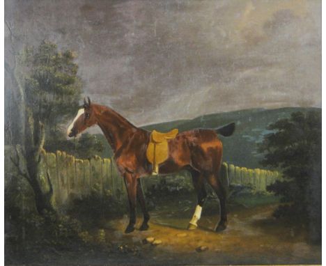English School,
18th century oil on canvas, portrait of a horse, Stacy-Marks restoration labels verso, 20" x 23.5", framed.