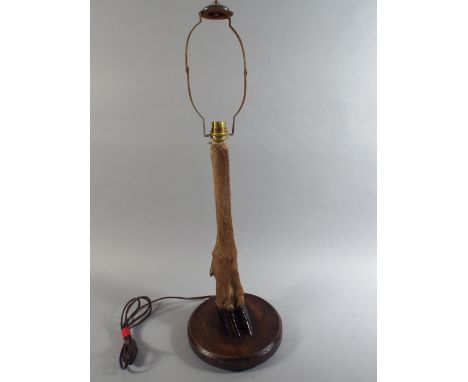 An Early 20th Century Table Lamp Formed from the Taxidermy Study of a Deer's Leg and Hoof, on a Turned Wooden Base. 59cm High