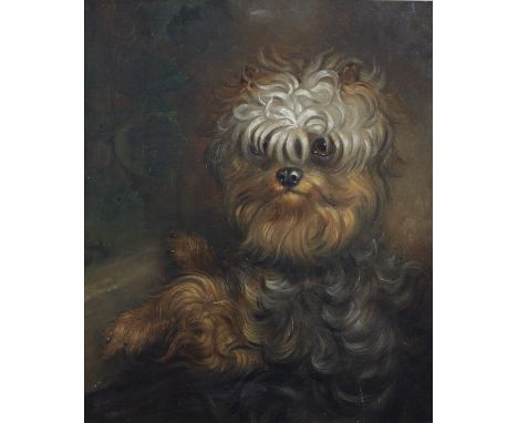 Winter (19th Century) Half length portrait of a dog, signed and dated 1853 (lower left), oils on board, 29cm x 24cm
