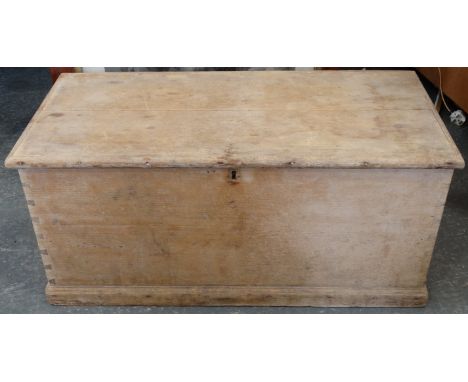 STAINED PINE TRUNK 