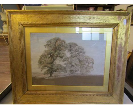 Gerald Wills sketch of trees 57x47cm framed and glazed
