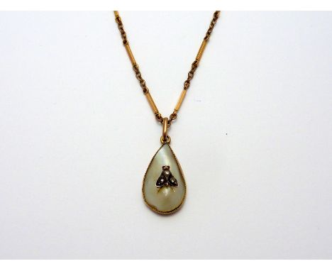 A VICTORIAN MOTHER OF PEARL INSECT PENDANT, the tear drop shape mother of pearl pendant with rose cut diamond and ruby detail