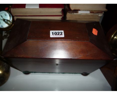 A SARCOPHAGUS SHAPED TEA CADDY, raised on bun feet (s.d)