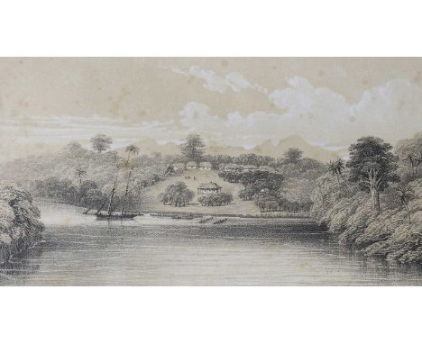 [Dale (Robert) and O’Gorman (George) for Chaloner and Fleming].The Mahogany Tree: Its Botanical Characters, Qualities and Use