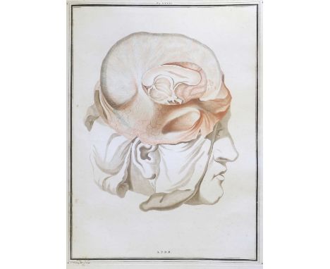 D'Azyr (Vicq).Traite D'Anatomie et De Physiologie avec Des Planches Coloriees, Representant au naturel les divers organes de 