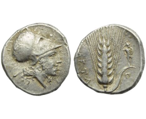 Lucania, Metapontion, Stater, c. 340-330 BC; AR (g 7,98; mm 22; h 10); Head of Tharragonas  r., wearing Corithian helmet, wit