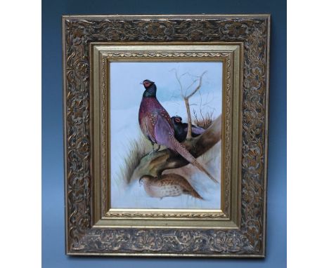 AN ENGLISH PORCELAIN HAND PAINTED PANEL DEPICTING GAMEBIRDS SIGNED BY M KENWRICK, Royal Worcester artist, gilt framed, 20 x 1