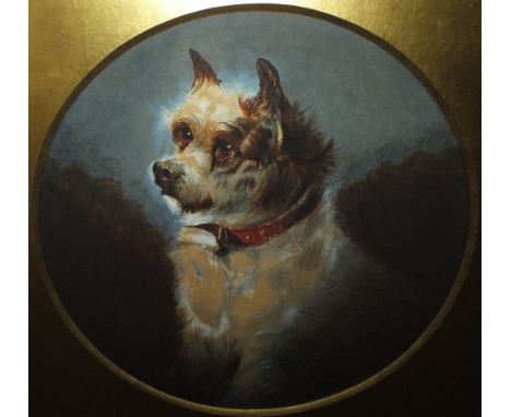 E STEELE (XIX-XX). A portrait study of a terrier dog, signed lower right, watercolour, framed and glazed, 29 x 29 cm