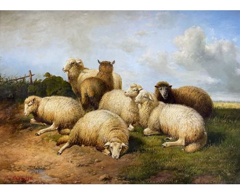 S Schuler (Continental 20th century): Portrait of Sheep Resting, oil on panel in heavy gilt frame 29cm x 39cm 