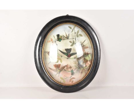 A large Exotic Bird wall mounted Taxidermy Diorama, the seven birds mounted on realistic branches, having concave glass, with