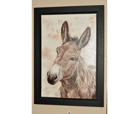 TONI HARGREAVES (BRITISH CONTEMPORARY) 'SMART ASS', a sepia portrait of a Donkey, signed bottom left, oil on canvas, framed, 