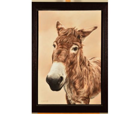 TONI HARGREAVES (BRITISH CONTEMPORARY), 'Lil' Jill', a sepia portrait of a donkey, signed bottom left, titled verso, acrylic 