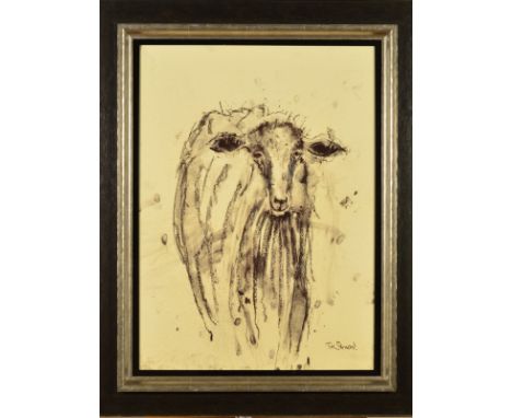 TIM STEWARD (BRITISH CONTEMPORARY) 'SHEEP II' a portrait of a sheep, signed lower right, charcoal on paper, framed, approxima