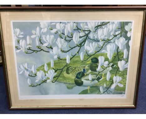 LOT OF SEVEN PRINTS, all framed