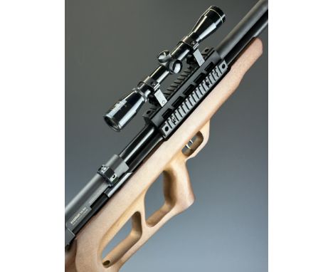 Beeman Power Series Model 1358 .22 PCP carbine air rifle with semi-pistol grip, 10-shot magazine and Nikko Stirling Silver Cr