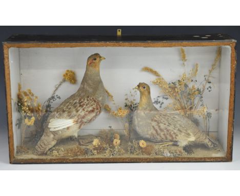 19th / 20thC taxidermy study of two partridge, in glazed case, W56 x D46.5 x H30.5cm&nbsp;