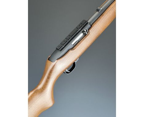 Ruger Model 10/22 .22 semi-automatic rifle with semi-pistol grip, multi-shot magazine, adjustable sights and 19 inch barrel, 