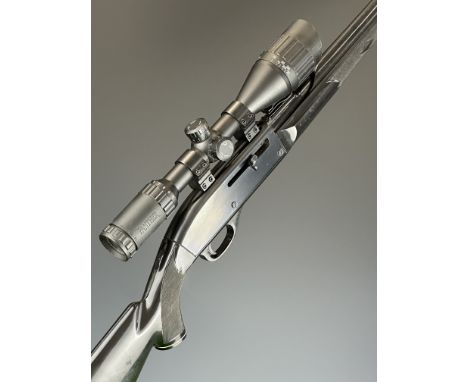 Remington Nylon 66 .22 semi-automatic rifle with composite stock, chequered semi-pistol grip and forend, BSA Panther 10x44 AO
