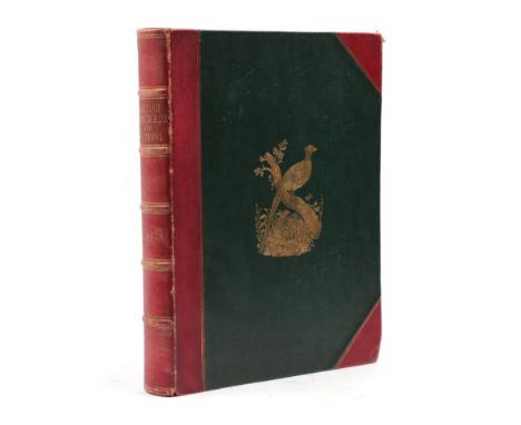 Morris, Beverley Robinson British Game Birds and Wildfowl. Groombridge and Sons, 1855. 4to, half red leather, upper board wit