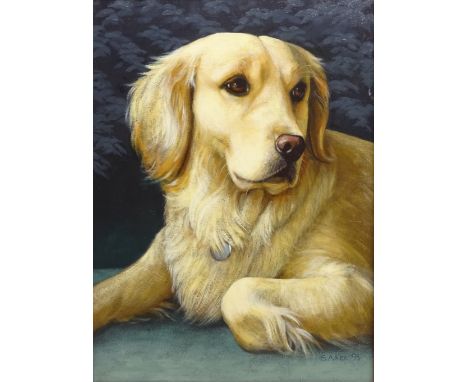 'Jess' - Portrait of a Golden Retriever, oil on board signed by Susan Ker, titled and dated December 1995 verso 49cm x 37cm