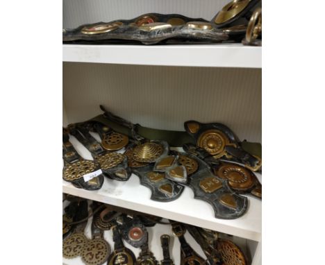 Shelf of quality horse brasses.. 