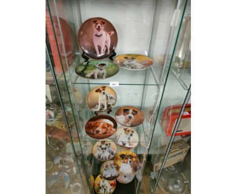 4 shelf of jack Russell dog collectors plates . 