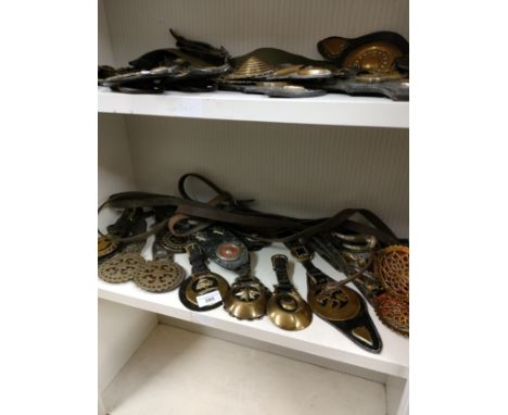 Shelf of quality horse brasses.. 