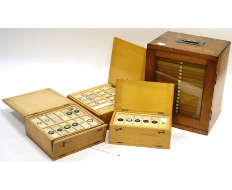 Prepared Microscope Slides a collection contained in a 19 drawer cabinet and three wooden boxes (qty)