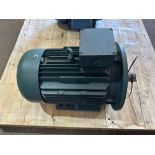 LEESON IEC Metroc Motor