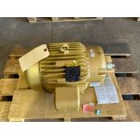 Baldor Reliance Super-E Motor