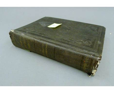 Colonel R Delafield US Army, On The Art of War in Europe 1854,1855 and 1856, all plates and maps present, covers worn.