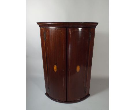 A 19th Century Shell Inlaid Bow Fronted Corner Cabinet in Mahogany with Three Inner Shelves.