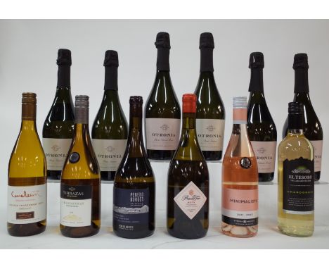 12 BOTTLES ARGENTINIAN WHITE, ROSÉ AND SPARKLING WINECameleon Vineyards Unoaked Organic Chardonnay 2021; Terrazas de los Ande