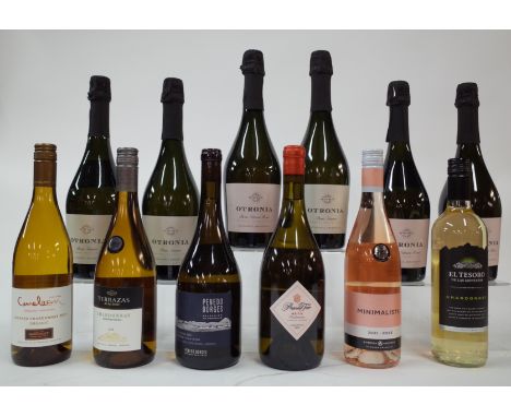 12 BOTTLES ARGENTINIAN WHITE, ROSÉ AND SPARKLING WINECameleon Vineyards Unoaked Organic Chardonnay 2021; Terrazas de los Ande