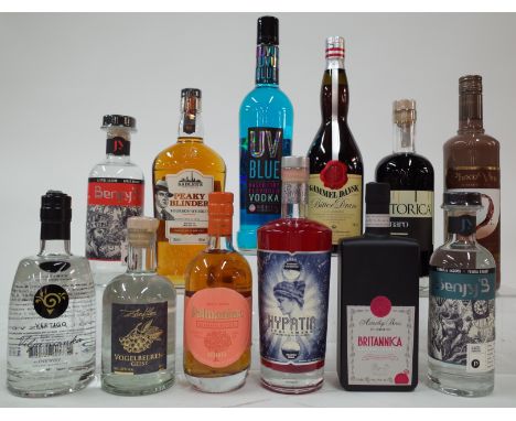 12 MIXED BOTTLES OF SPIRITSVertigo Fruit Brandy; Zunftler Rowberry Spirit (50cl); Palmanhac Orange Moscatel Reserva (50cl); F