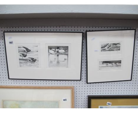 John Gale (Bird Artist), Purple Sandpiper/St Ives limited edition print 1 of 100, 4.7 x 12.5cm, three others similar, all sig