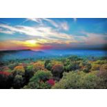 Buildable Lot in Charming Ozark Acres, Arkansas!