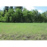 Iosco County, Michigan: Prime Golf Course Lot Available!