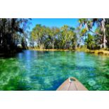 Discover the Essence of Florida in Citrus County!