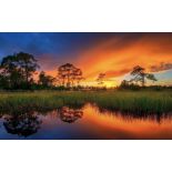 Discover Homosassa Springs in Citrus County, Florida! Adjacent to Lot 34!