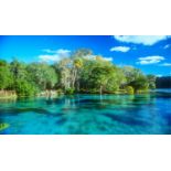 Citrus County: Own a Lot in Florida's Best Place to Retire! Adjacent to Lot 42!