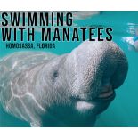 Explore Homosassa, in Citrus County, Florida!